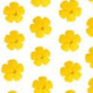 Meet your Posher, Ginger